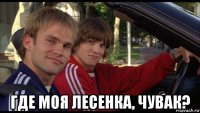  где моя лесенка, чувак?