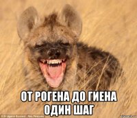  от рогена до гиена один шаг