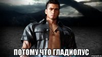  потому что гладиолус