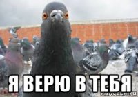  я верю в тебя