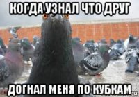 когда узнал что друг догнал меня по кубкам