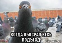  когда обосрал весь подъезд