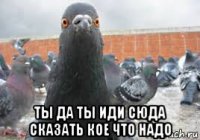  ты да ты иди сюда сказать кое что надо
