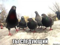  ты следующий