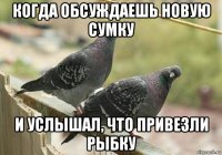 когда обсуждаешь новую сумку и услышал, что привезли рыбку