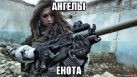 ангелы енота