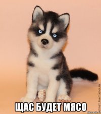  щас будет мясо