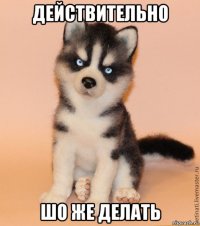 действительно шо же делать