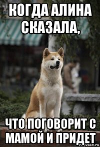 когда алина сказала, что поговорит с мамой и придет