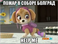 пожар в соборе болград help me