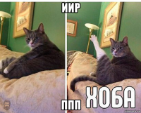 иир ппп