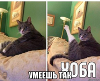  умеешь так