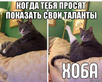 когда тебя просят показать свои таланты 