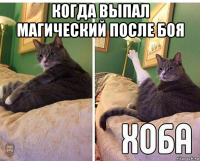 когда выпал магический после боя 