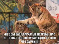  -не ссы вася,пархатые ястребы нас не тронут,только кукарекают от того что дурные.