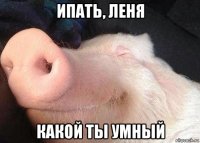 ипать, леня какой ты умный