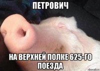 петрович на верхней полке 625-го поезда