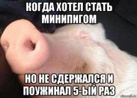 когда хотел стать минипигом но не сдержался и поужинал 5-ый раз