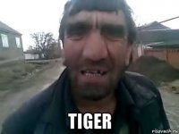  tiger