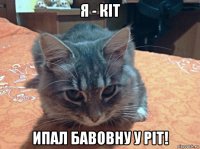 я - кіт ипал бавовну у рiт!