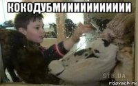 кокодубмиииииииииии 