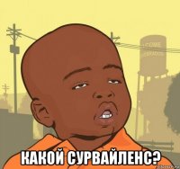  какой сурвайленс?