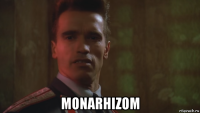  monarhizom