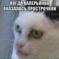 когда валерьянка оказалась прострочкой 