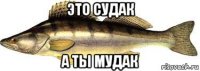 это судак а ты мудак