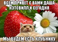 всем привет с вами даша кэтсвилл,и сегодня мы будем есть клубнику