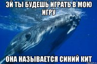 эй ты будешь играть в мою игру она называется синий кит