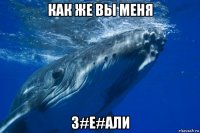 как же вы меня з#е#али