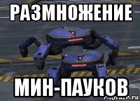 размножение мин-пауков