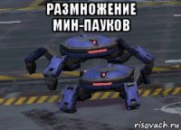 размножение мин-пауков 