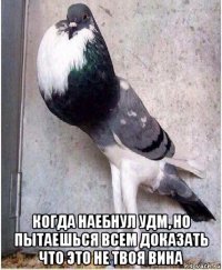  когда наебнул удм, но пытаешься всем доказать что это не твоя вина
