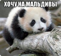 хочу на мальдивы 