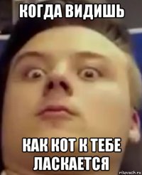 когда видишь как кот к тебе ласкается