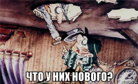  что у них нового?