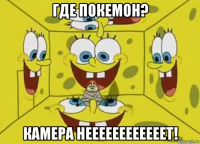 где покемон? камера неееееееееееет!
