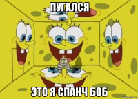 пугался это я спанч боб