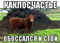 каклосчастье обоссался и стой