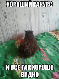 хороший ракурс и все так хорошо видно