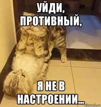 уйди, противный, я не в настроении...