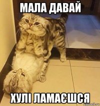 мала давай хулі ламаєшся