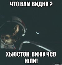 что вам видно ? хьюстон, вижу чсв юли!