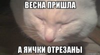 весна пришла а яички отрезаны