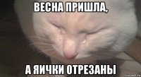 весна пришла, а яички отрезаны