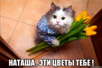  наташа , эти цветы тебе !