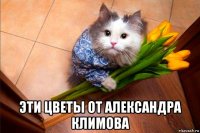  эти цветы от александра климова
