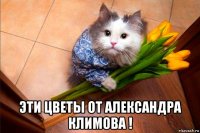  эти цветы от александра климова !